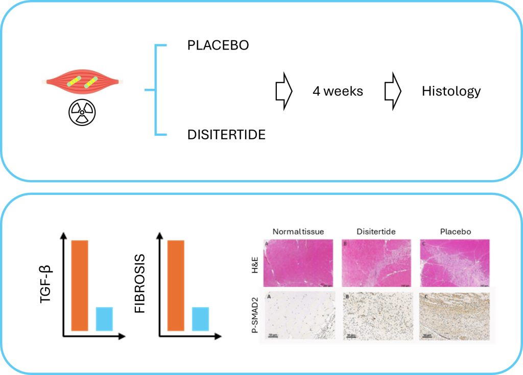 Transforming Growth Factor Beta Inhibitor Peptide, Generates Antifibrogenic Effects